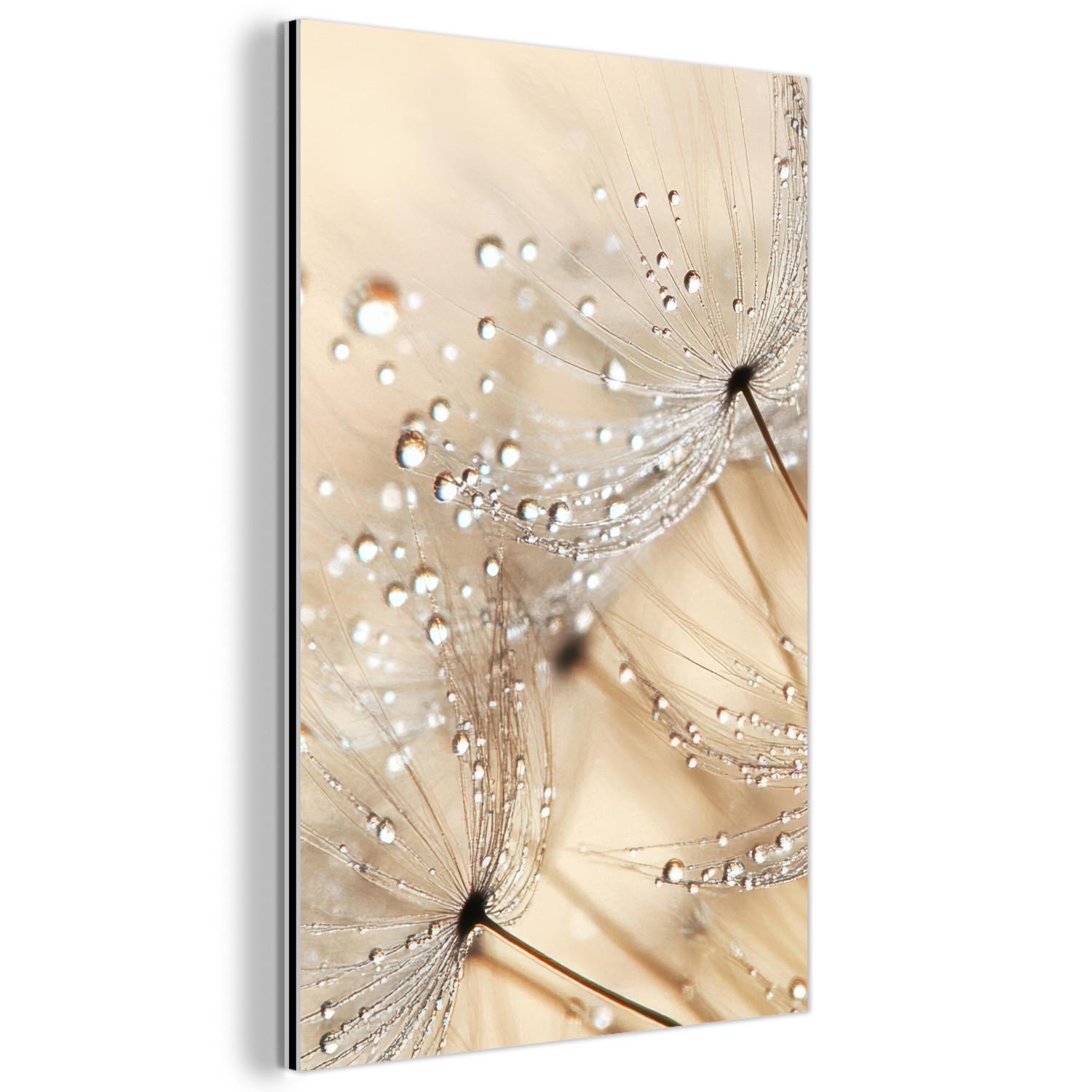 METALLBILD Löwenzahn - Abstrakt - Natur - Beige 80x120 cm - Braun, Metall (80/120cm) - MuchoWow