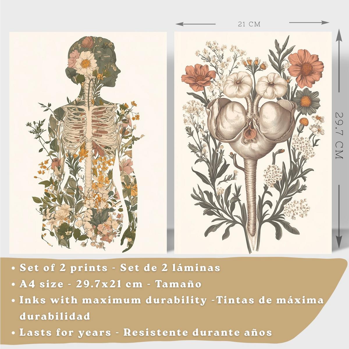 POSTER Set aus 2 Anatomie Mensch Drucke und mit Weiblicher Silhouette und Fortpflanzungssystem Botanischer Stil Größe Leichter Holzrahmen A4 - Beige, Papier (21/29.7/3cm) - Nacnic