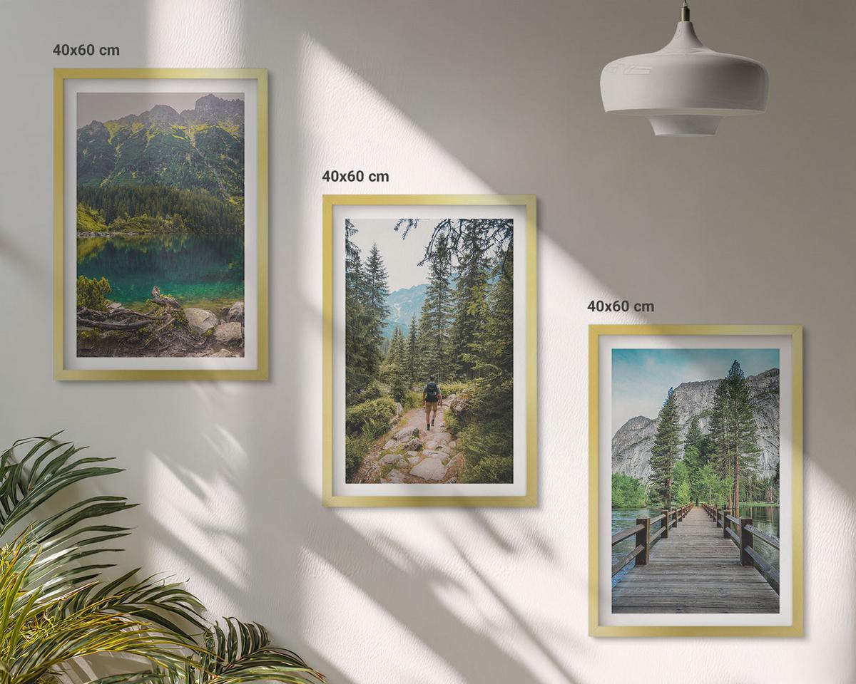 BILDER SET 3er Set - 40x60 cm Goldrahmen - Berge, Seen, Wälder, Wege - Goldfarben, Kunststoff (40/60cm) - TULUP