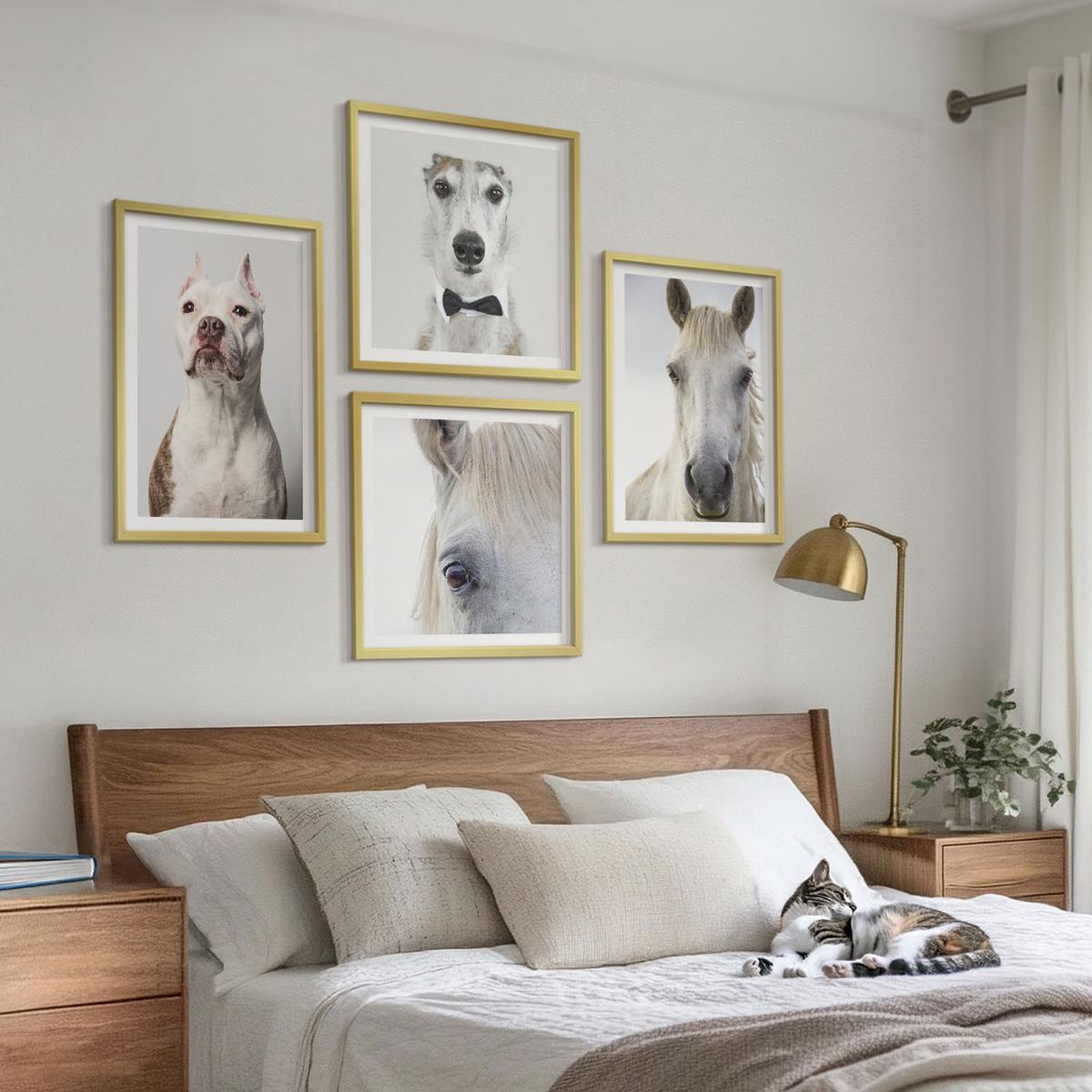 BILDER SET 4er Set - 50x50 cm & 40x60 cm Goldrahmen - Elegante Porträts von Hunden und Pferden - Goldfarben, Kunststoff (50/50cm) - TULUP
