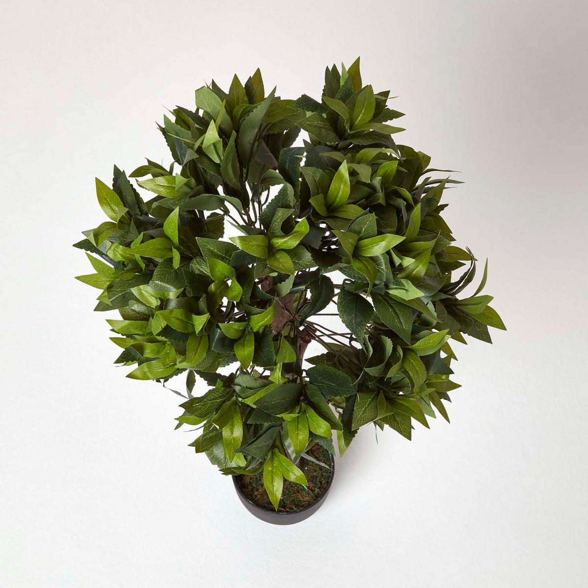 KUNSTBAUM Lorbeer formgeschnitten, 91 cm - Grün, Kunststoff (91cm) - Homescapes