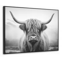LEINWAND Bilder mit Rahmen - Schottischer Highlander - Nebel - Schwarz - Weiß - 100x70 - Grau, Textil (100/70cm) - MuchoWow
