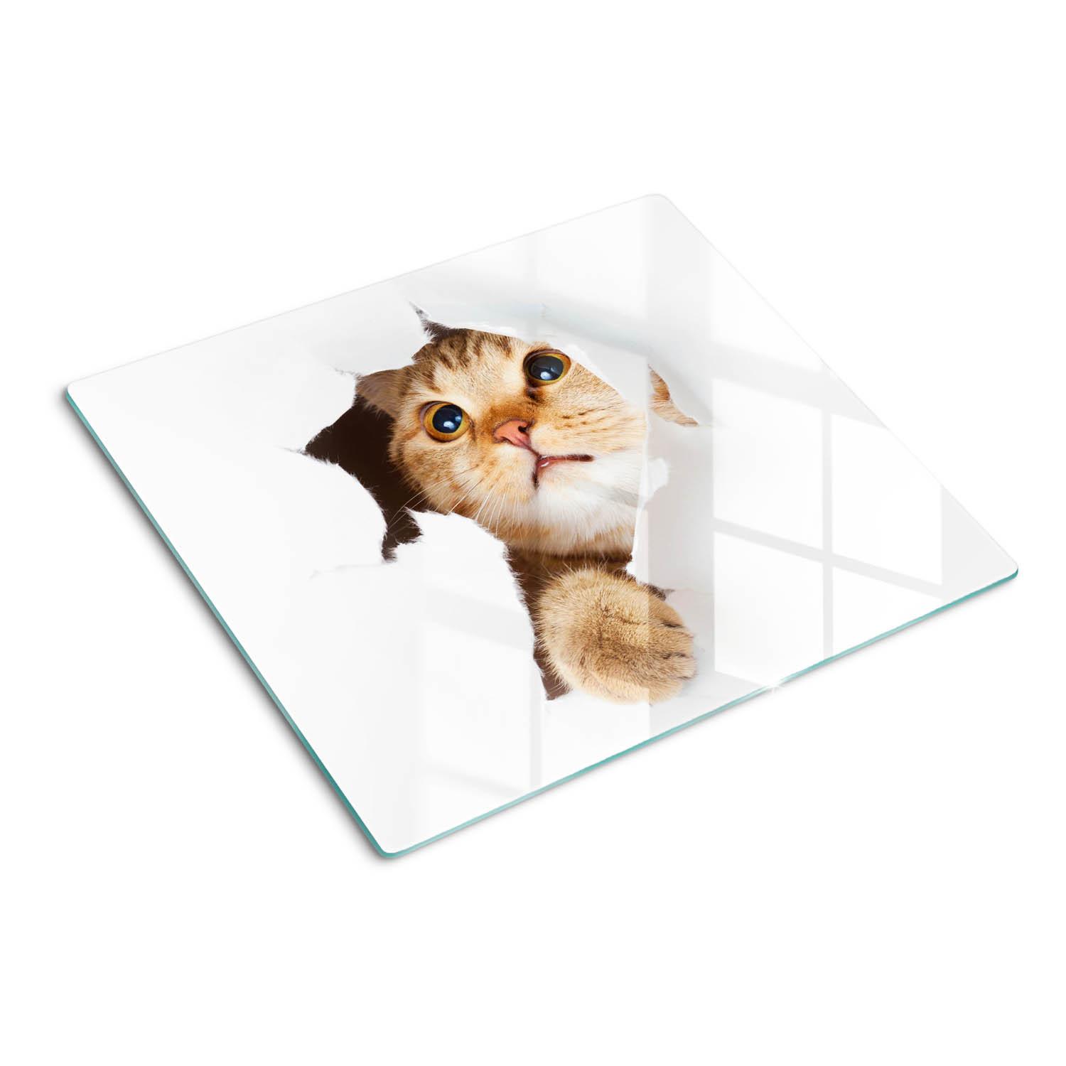 GLASPLATTE 60x52 cm Katze im Loch - Sandfarben, Glas (60/52cm) - TULUP