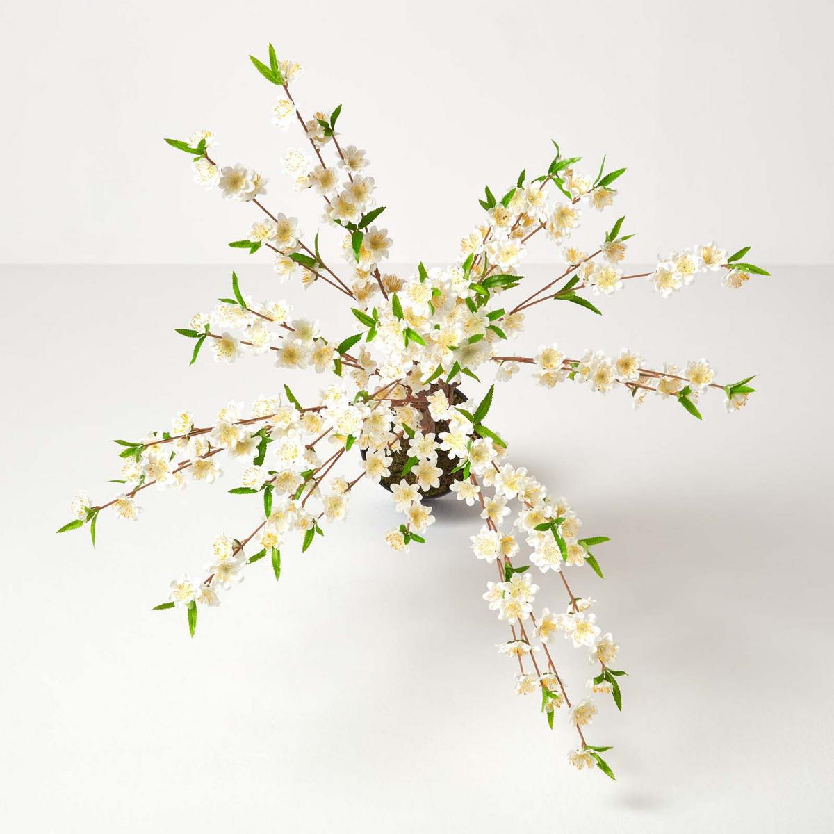 KUNSTBAUM Blüten creme, 135 cm - Creme, Kunststoff (135cm) - Homescapes