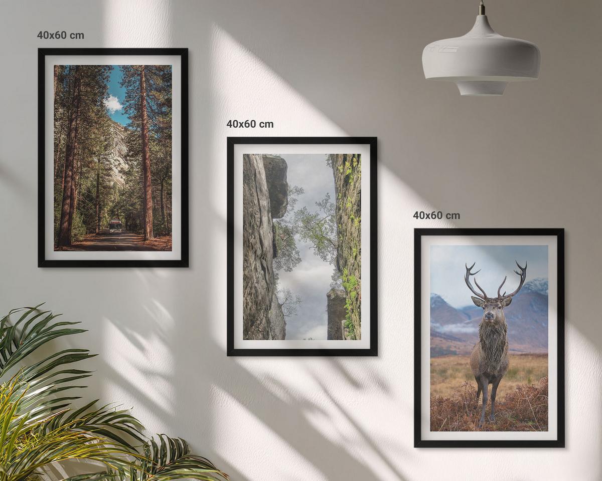 BILDER SET 3er Set - 40x60 cm Schwarzer Rahmen - Straße Wald Berge Hirsch Natur - Schwarz, Kunststoff (40/60cm) - TULUP
