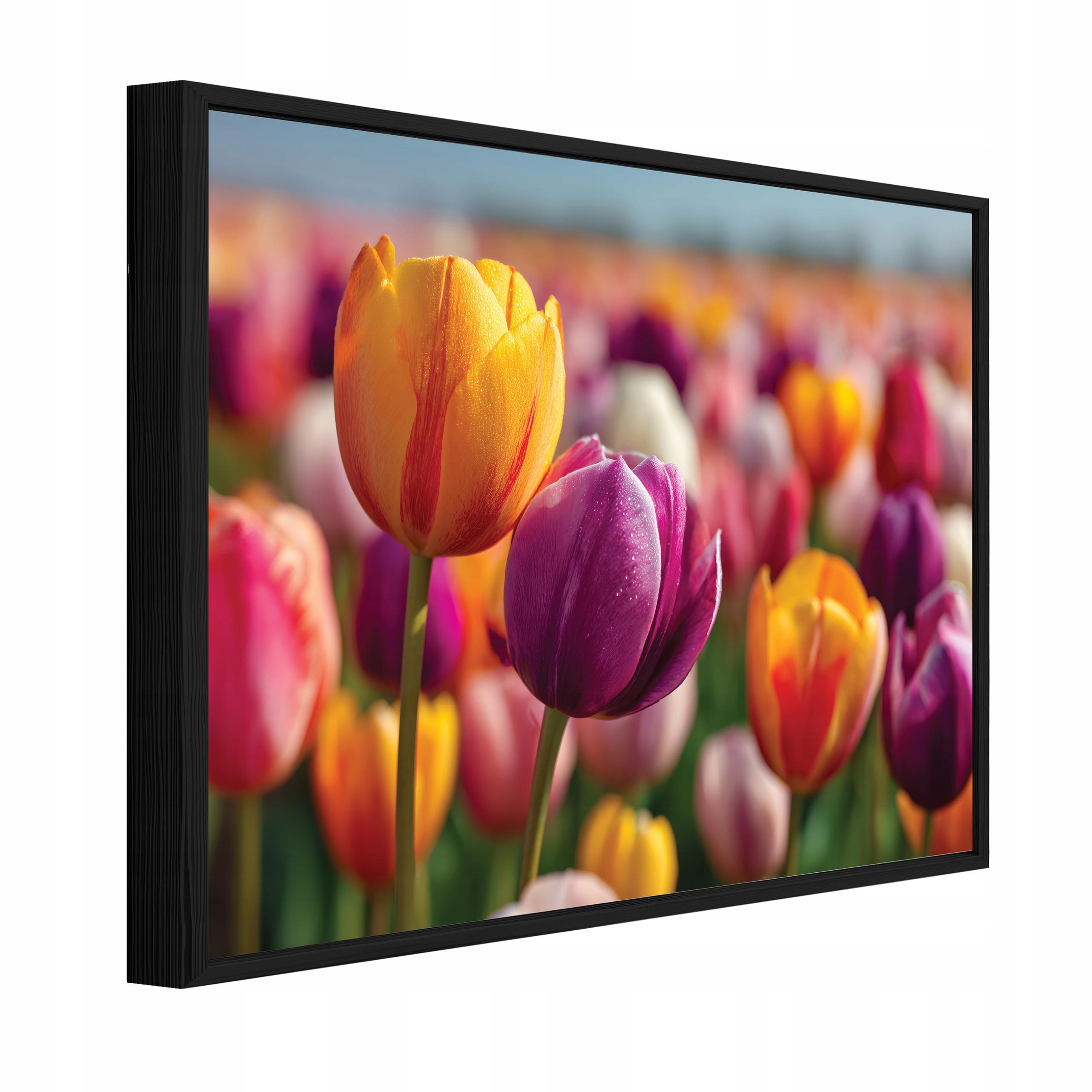 BILDER mit Rahmen Blumen Tulpen Bunt 120x80 cm - Multicolor, Holzwerkstoff (120/80cm) - Wallarena