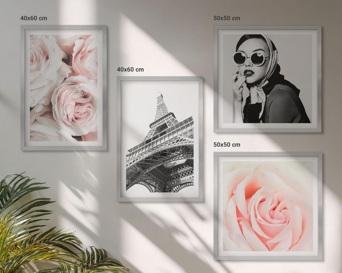 BILDER SET 4er Set - 50x50 cm & 40x60 cm Silberner Rahmen - Eiffels Porträt einer Frau mit Rosen - Silberfarben, Kunststoff (50/50cm) - TULUP