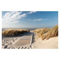 FOTOTAPETE Ostsee Strand 288/190 cm - Eichefarben, Papier (288/190cm) - Bilderwelten