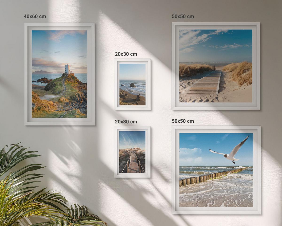 BILDER SET 5er Set - 50x50 cm & 20x30 cm & 40x60 cm Weißer Rahmen - Palmen am Meer, blaues Wasser - Weiß, Kunststoff (40/60cm) - TULUP
