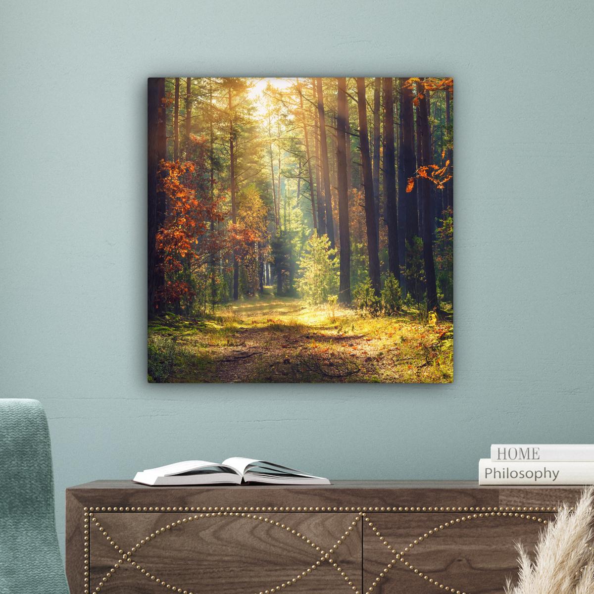 LEINWANDBILD Wald - Herbst - Bäume Wandbild Wohnzimmer 50x50 cm - Dunkelgrün, Textil (50/50cm) - MuchoWow