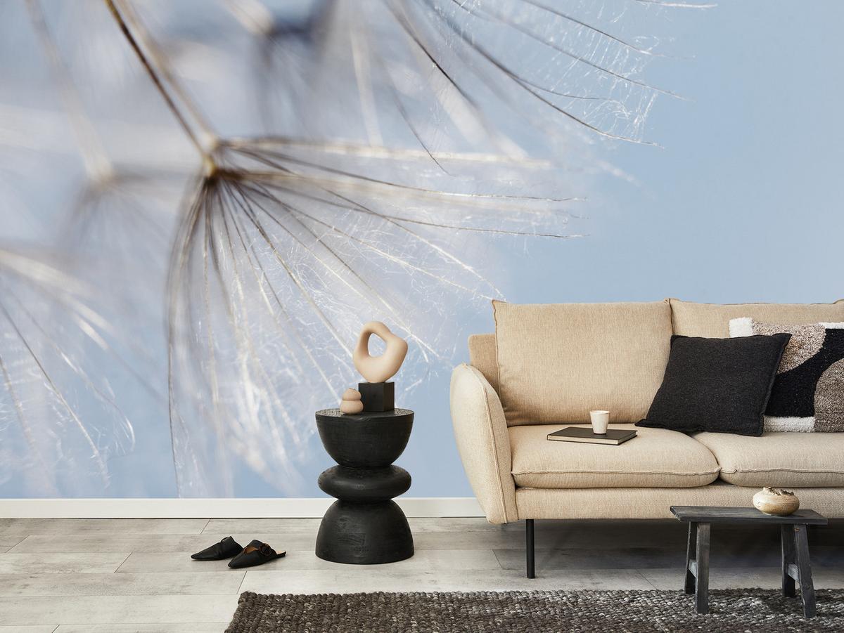 FOTOTAPETE für Schlafzimmer Zarte Löwenzahnblüten im Wind 350x256 - Braun/Weiß, Papier (350/256cm) - Muralo