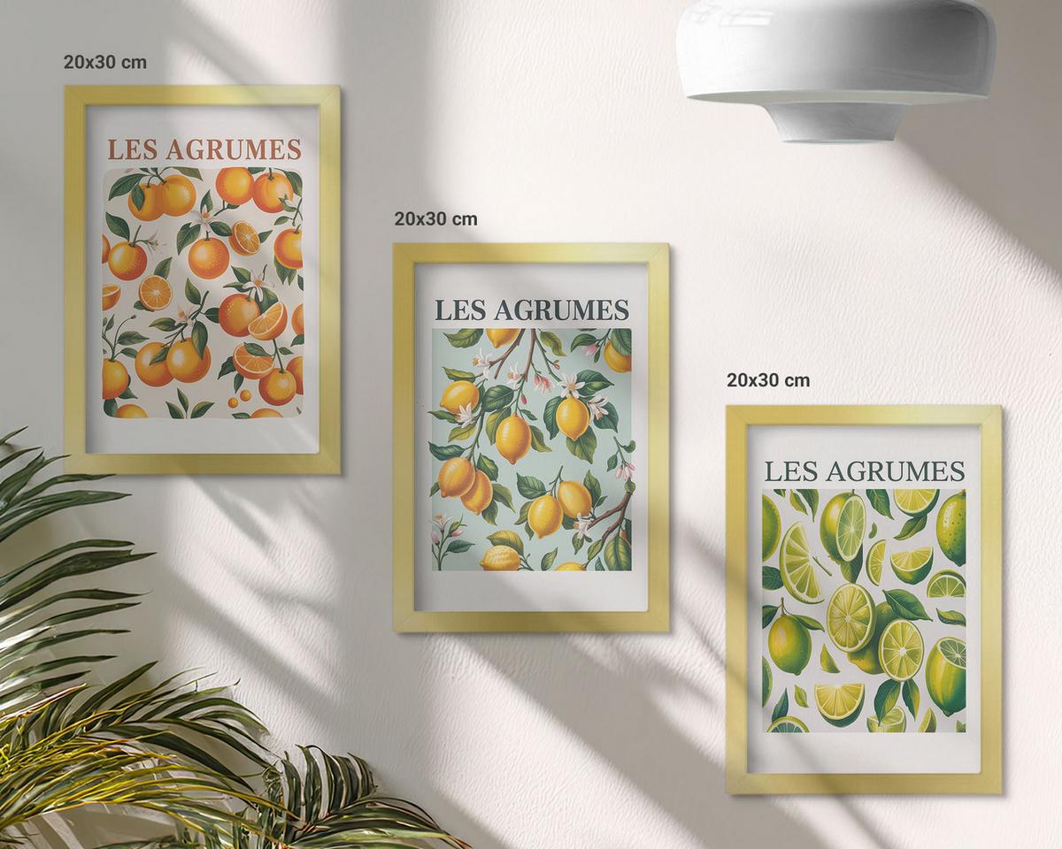 BILDER SET 3er Set - 20x30 cm Goldrahmen - Fruchtige Zitrus-Pastellmuster - Goldfarben, Kunststoff (20/30cm) - TULUP
