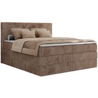 BOXSPRINGBETT TILIANO KING - 200/200 - Braun Cord - H4 - Braun, Holz/Textil (200/200cm) - MKS