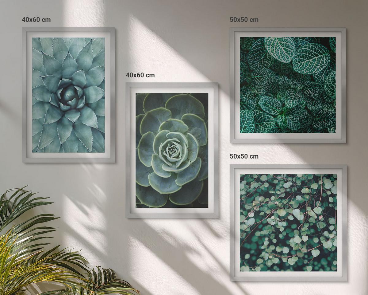 BILDER SET 4er Set - 50x50 cm & 40x60 cm Silberner Rahmen - Sukkulenten in Grün und Türkis - Silberfarben, Kunststoff (50/50cm) - TULUP