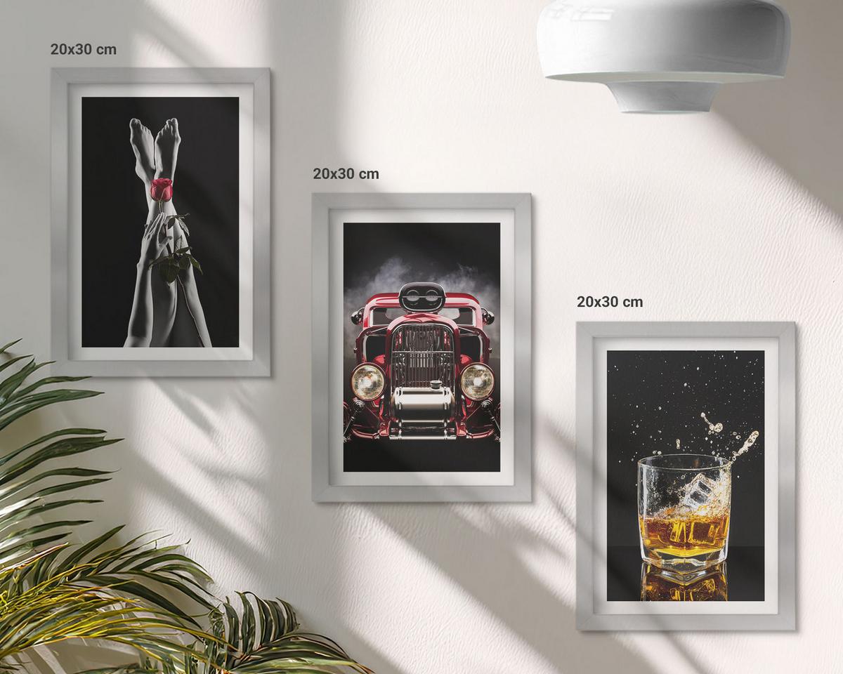 BILDER SET 3er Set - 20x30 cm Silberner Rahmen - Frauenbeine Rosenauto Whisky - Silberfarben, Kunststoff (20/30cm) - TULUP