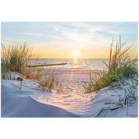 FOTOTAPETE Strand Meer 350x250 - Multicolor, Papier (350/250cm) - Wallarena