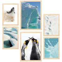 POSTER Set Mit 6 Eis In Der Antarktis Bär & Pinguine Im Türkisfarbenen Wasser A3 & A4 Rahmen Aus Hellem Holz - Beige, Papier (29/3cm) - Nacnic
