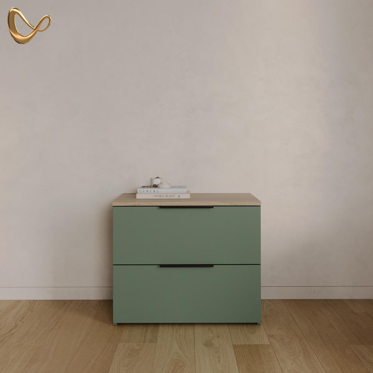 KOMMODE Piave Grün 60 x 50 cm mit 2 Schubladen - Grün, Holzwerkstoff (60/50/40cm) - Livinity®