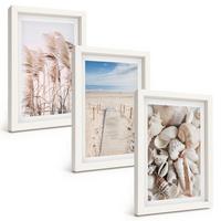 BILDER SET 3er Set - 20x30 cm Weißer Rahmen - Strandmuscheln Seegras - Weiß, Kunststoff (20/30cm) - TULUP