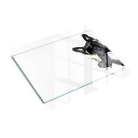 GLASPLATTE 60x52 cm Hund mit Martini - Dunkelgrau/Schwarz, Glas (60/52cm) - TULUP