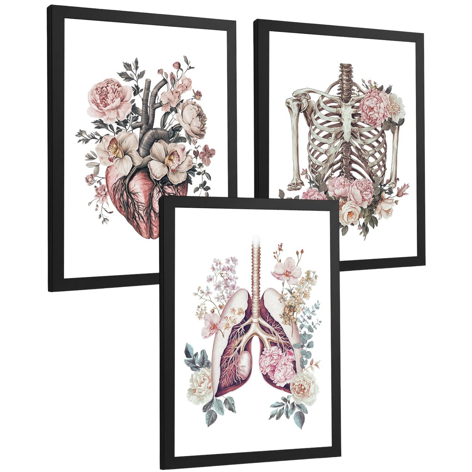 POSTER Set aus 3 Anatomie Florale Drucke und Wandbilder mit Herz Brustkorb und Lungen Detaillierter Illustrationsstil Größe Schwarzer Rahmen A3 - Schwarz, Papier (29.7/42/3cm) - Nacnic