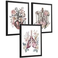 POSTER Set aus 3 Anatomie Florale Drucke und Wandbilder mit Herz Brustkorb und Lungen Detaillierter Illustrationsstil Größe Schwarzer Rahmen A3 - Schwarz, Papier (29.7/42/3cm) - Nacnic