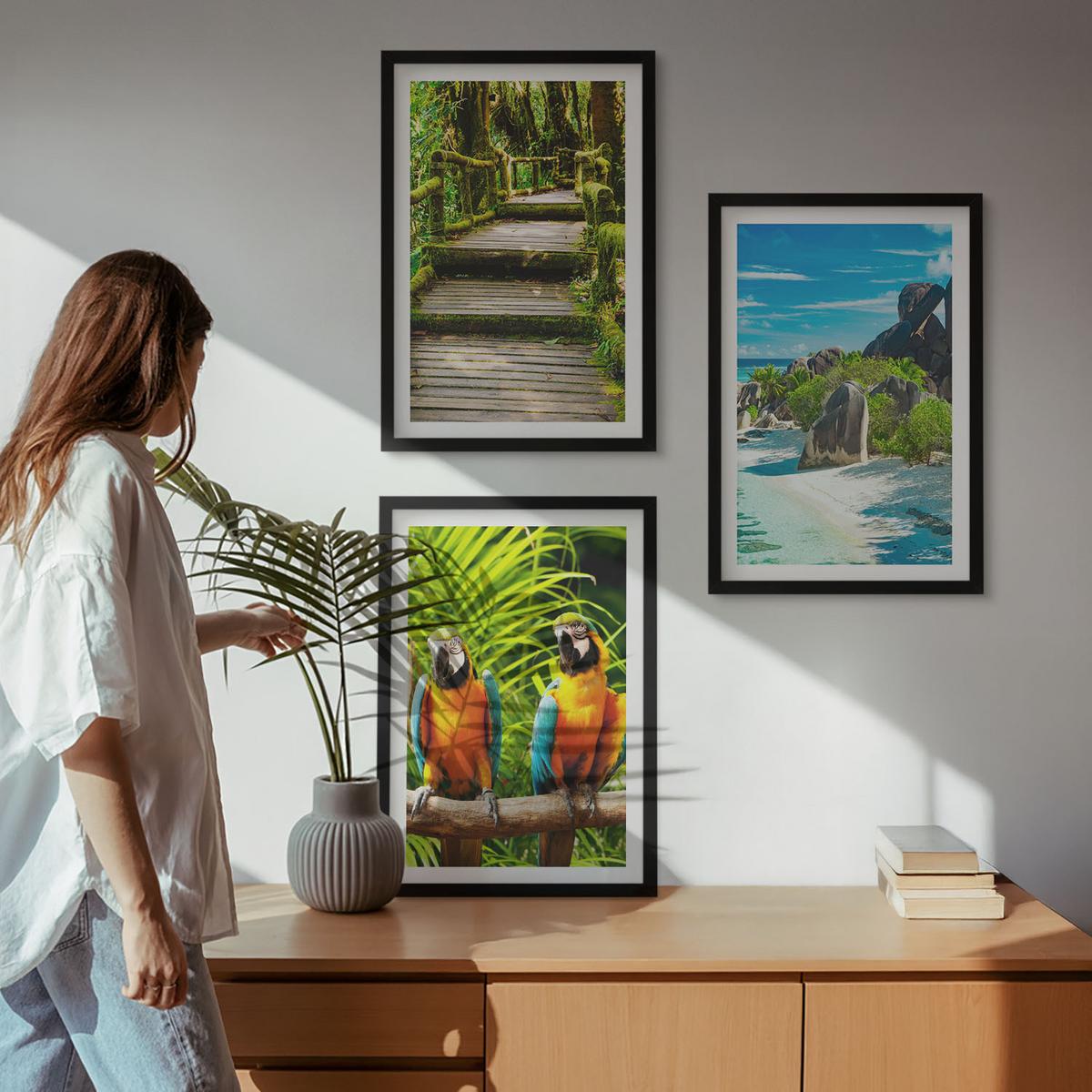 BILDER SET 3er Set - 40x60 cm Schwarzer Rahmen - Tropischer Wald Papageienwasserfall - Schwarz, Kunststoff (40/60cm) - TULUP