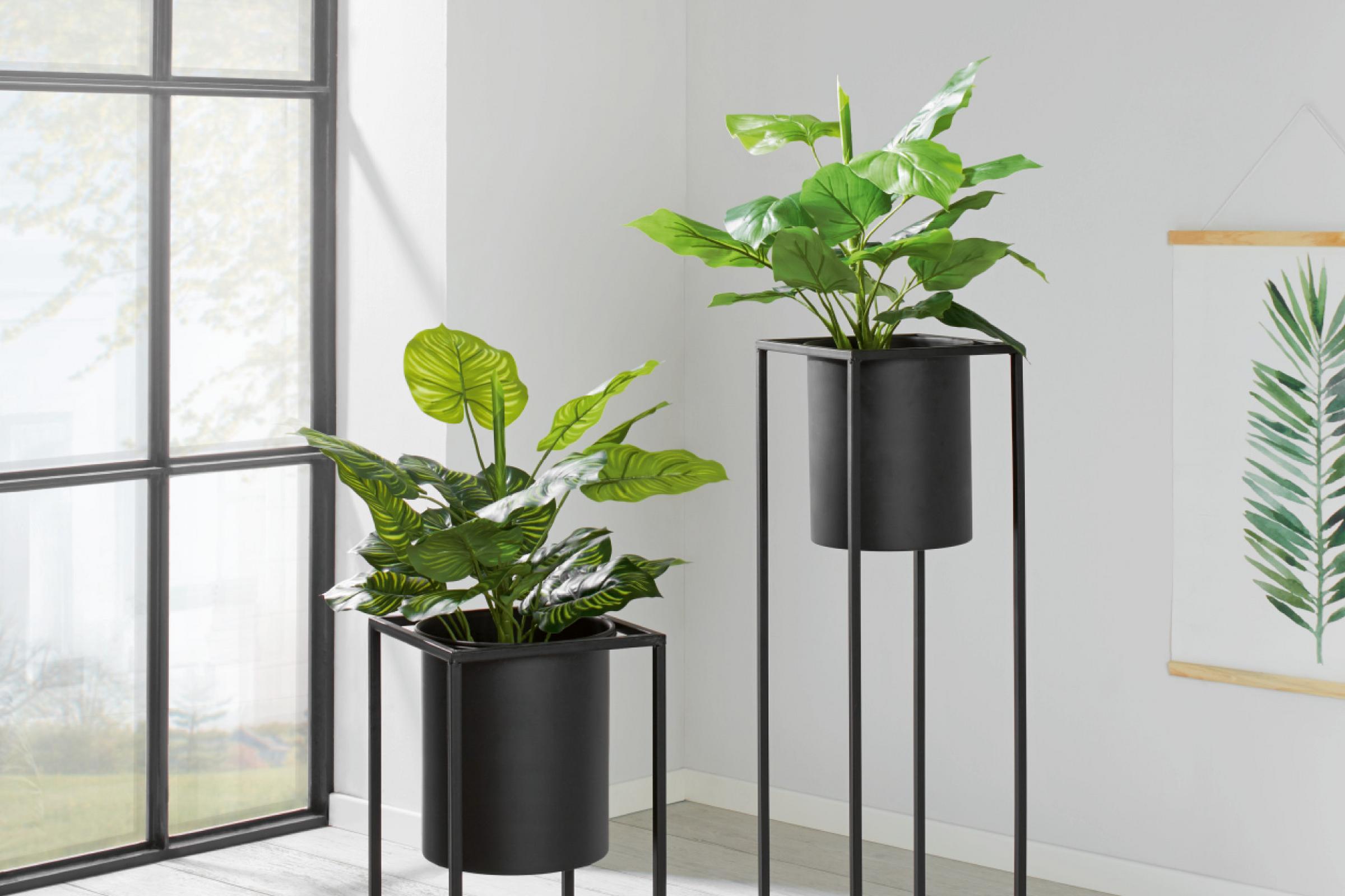 Wohnaccessoires / Dekoartikel online kaufen mömax.de