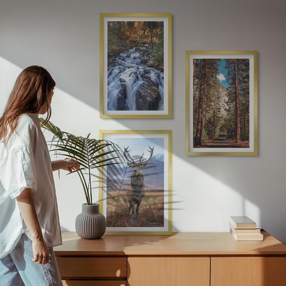 BILDER SET 3er Set - 40x60 cm Goldrahmen - Wasserfall Wald Berge Hirsch Natur - Goldfarben, Kunststoff (40/60cm) - TULUP