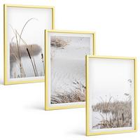 BILDER SET 3er Set - 40x60 cm Goldrahmen - Wasserpflanzen im Sommer - Goldfarben, Kunststoff (40/60cm) - TULUP