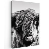 LEINWANDBILD Kuh - Schottischer Hochländer - Schwarz - Weiß - Tier - Natur - Wildtiere Deko Wohnzimmer 20x30 cm - Schwarz, Textil (20/30cm) - MuchoWow