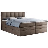 BOXSPRINGBETT ALVIN KING 120/200 Braun Velvet - H4 - Braun, Holz/Textil (120/200cm) - MKS