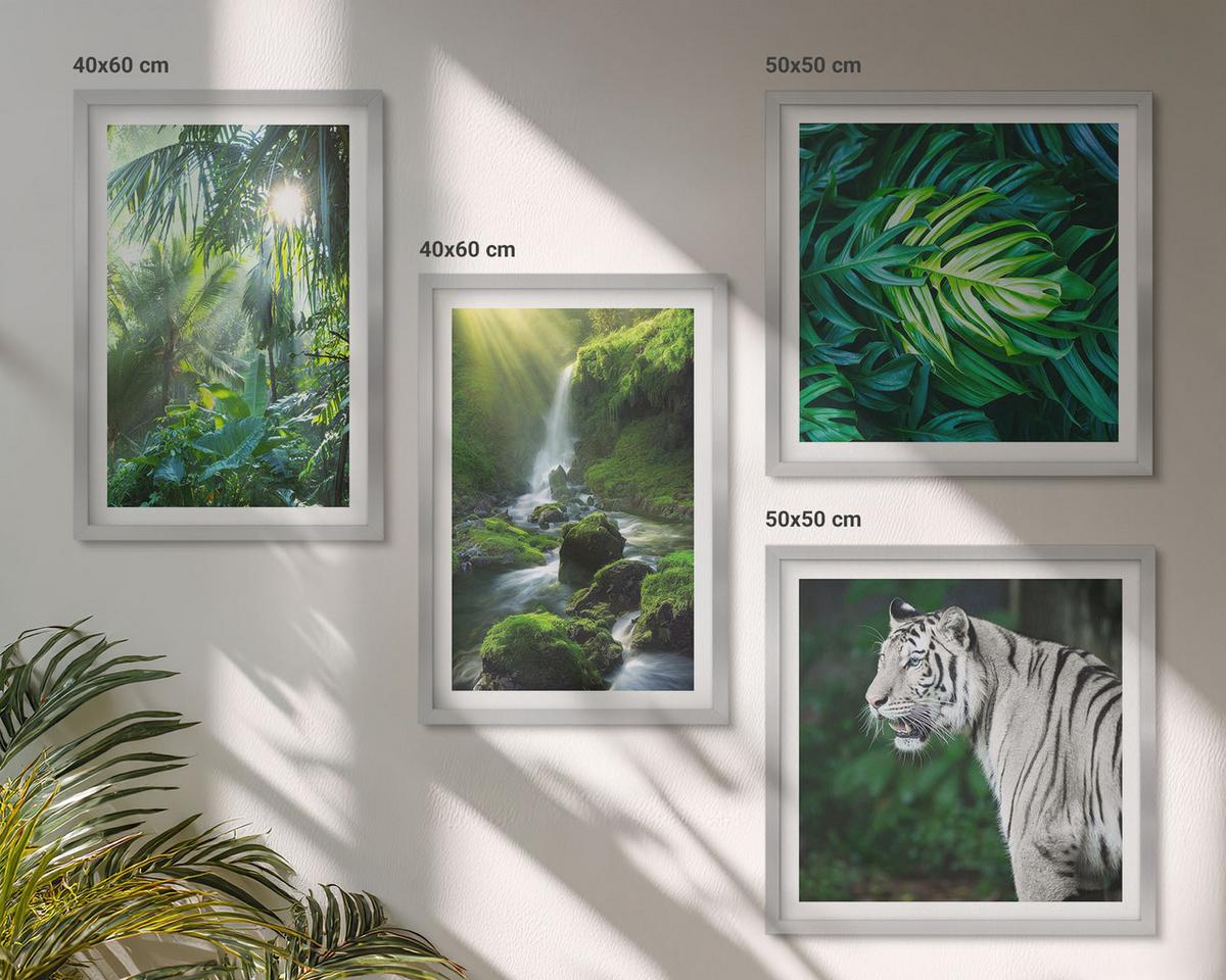 BILDER SET 4er Set - 50x50 cm & 40x60 cm Silberner Rahmen - Dschungel-Weißtiger-Wasserfall - Silberfarben, Kunststoff (50/50cm) - TULUP