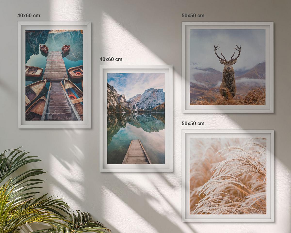 BILDER SET 4er Set - 50x50 cm & 40x60 cm Weißer Rahmen - Seeboote Hirsche Berge - Weiß, Kunststoff (50/50cm) - TULUP