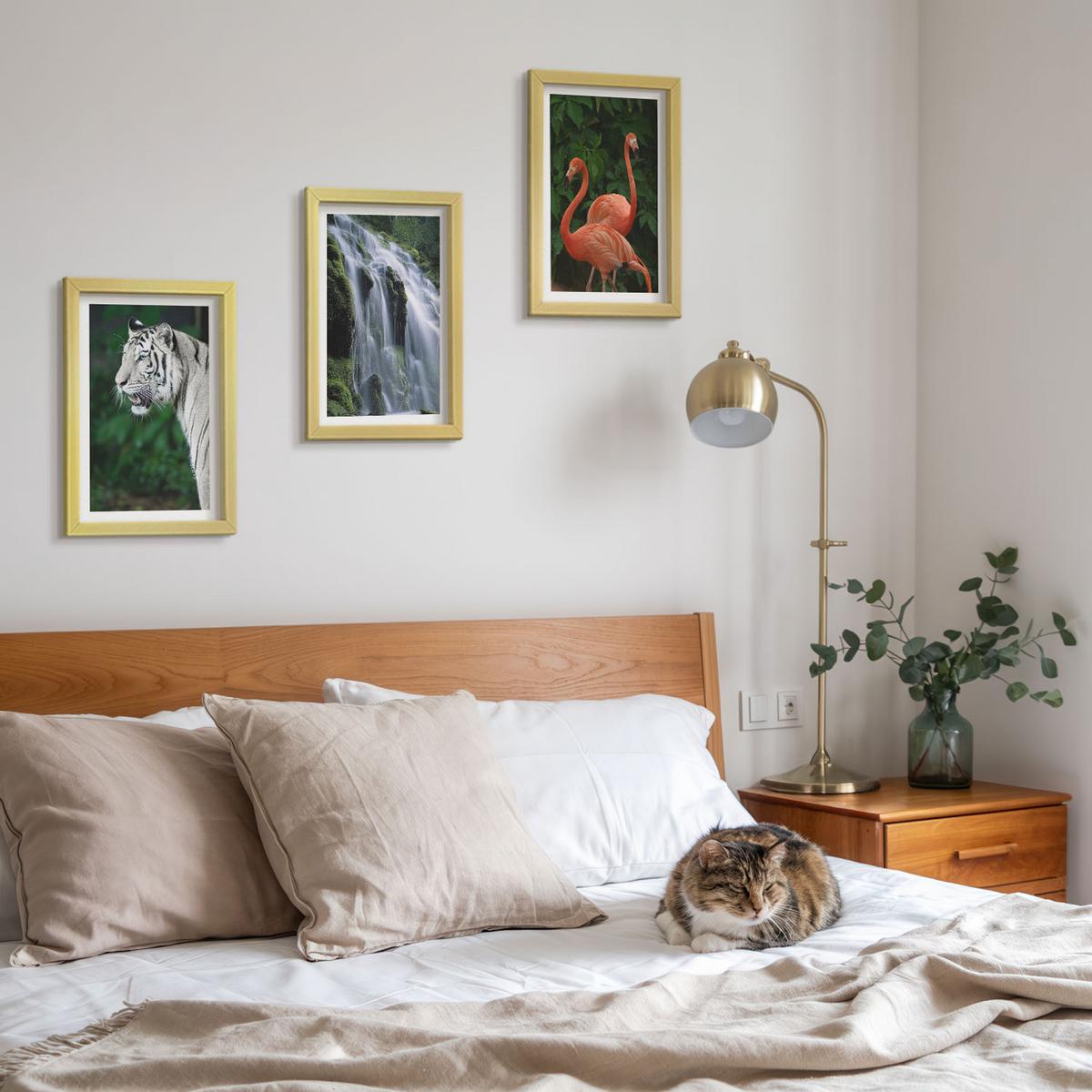 BILDER SET 3er Set - 20x30 cm Goldrahmen - Tiger Wasserfall Flamingos Natur - Goldfarben, Kunststoff (20/30cm) - TULUP