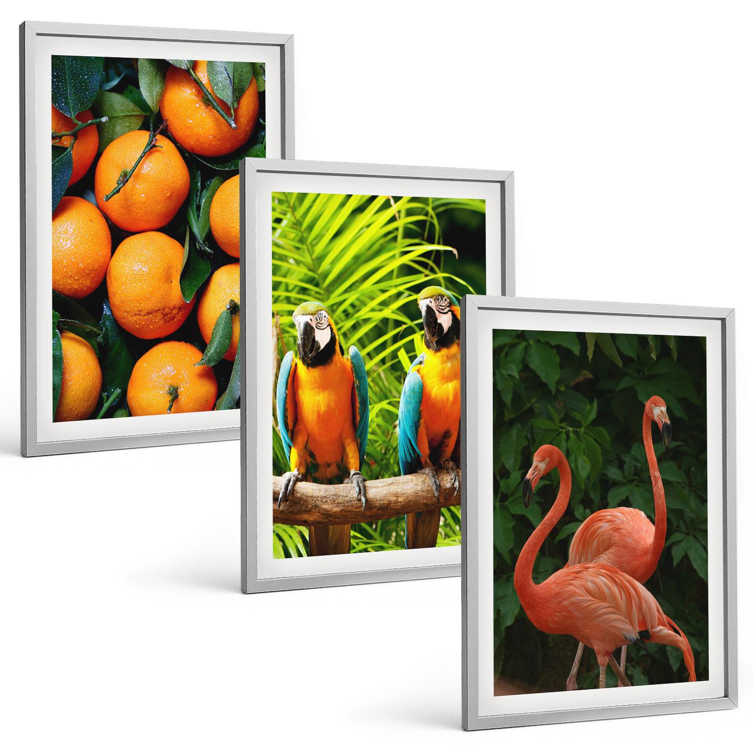 BILDER SET 3er Set - 40x60 cm Silberner Rahmen - Fruchtige Akzente in den Tropen - Silberfarben, Kunststoff (40/60cm) - TULUP