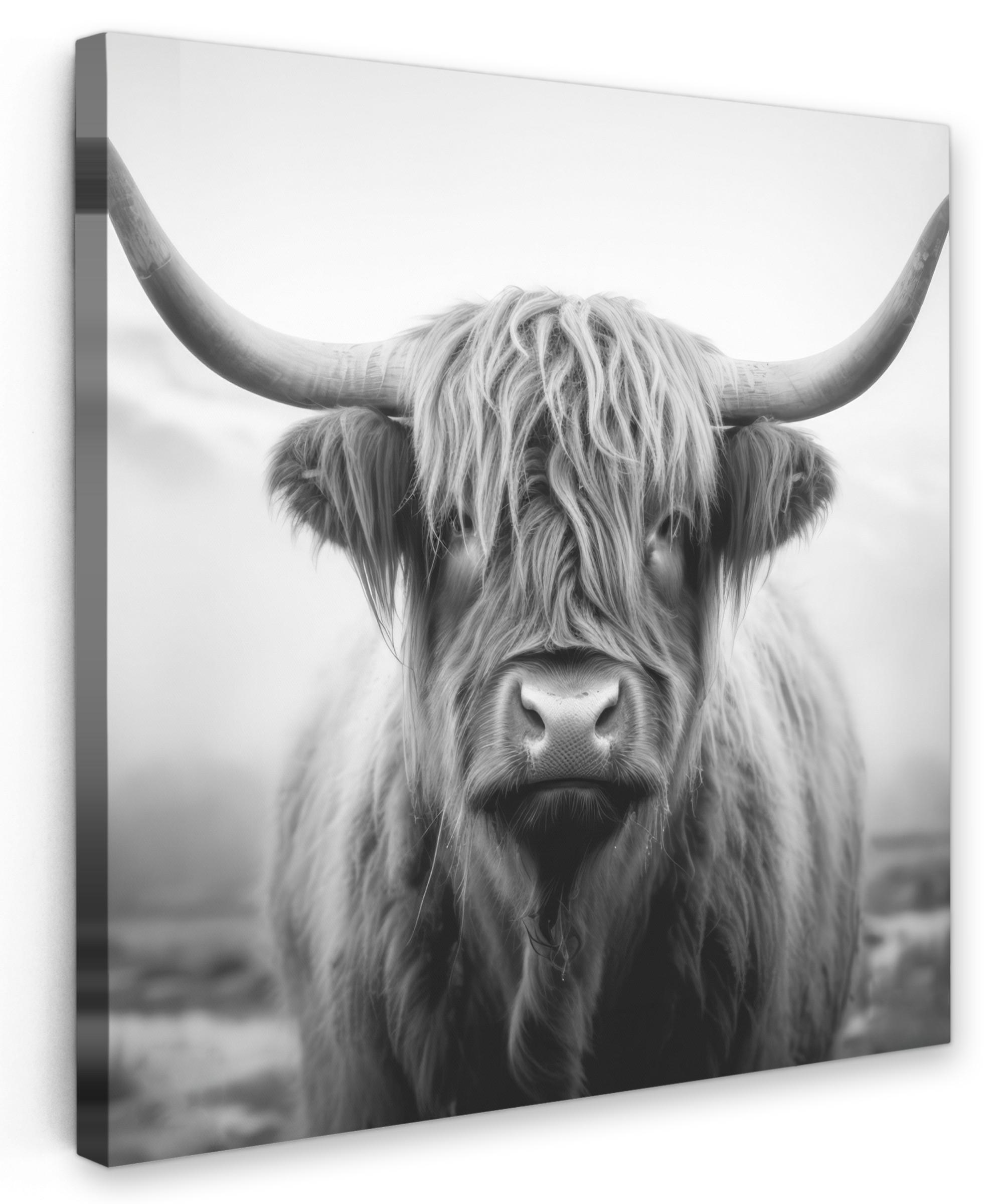 LEINWANDBILD Schottischer Highlander - Nebel - Schwarz - Weiß Deko Wohnzimmer 20x20 cm - Grau, Textil (20/20cm) - MuchoWow