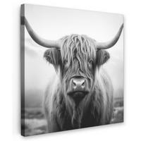 LEINWANDBILD Schottischer Highlander - Nebel - Schwarz - Weiß Deko Groß 90x90 cm - Grau, Textil (90/90cm) - MuchoWow