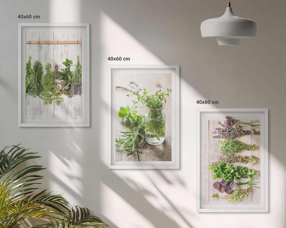 BILDER SET 3er Set - 40x60 cm Weißer Rahmen - Kräuterpflanzen für die Küche - Weiß, Kunststoff (40/60cm) - TULUP