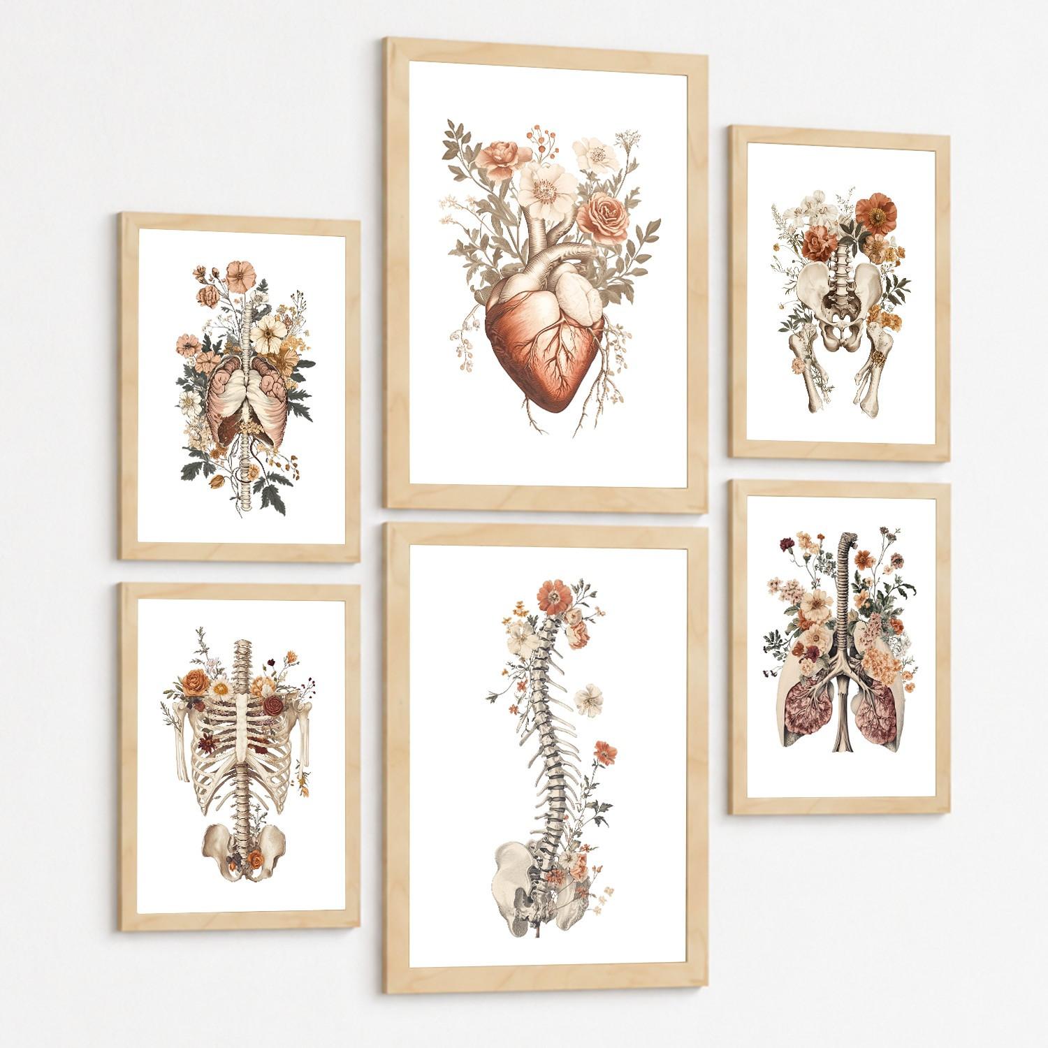 POSTER Set aus 6 Anatomie Mensch Florale Aquarell Drucke und mit Gehirn Lungen Skelett Nieren und Organen Botanische Größe Leichter Holzrahmen A3 & A4 - Beige, Papier (21/29.7/3cm) - Nacnic