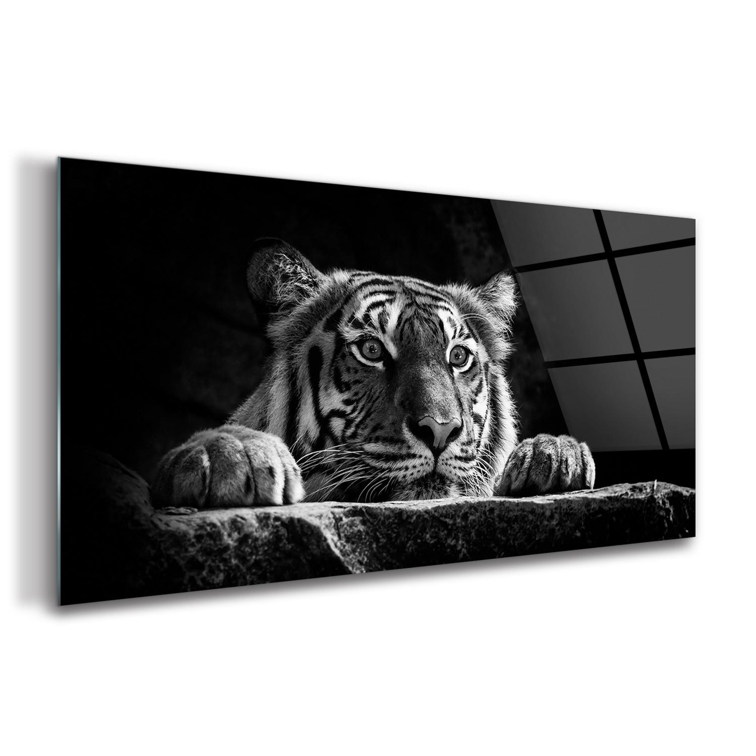 GLASBILD 140x70 cm Wildes Tier - Schwarz, Glas (140/70cm) - TULUP
