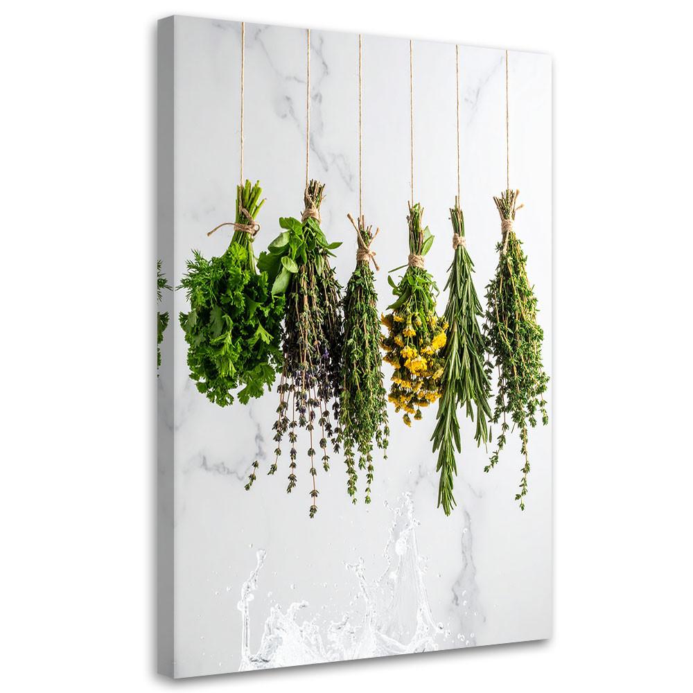 LEINWANDBILD Kräuter Gewürze Pflanzen 60x90cm - Weiß, Textil (60/90cm) - Feeby