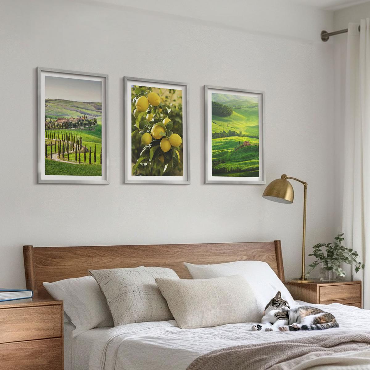BILDER SET 3er Set - 40x60 cm Silberner Rahmen - Italienische Zitrusfrüchte und Hügel - Silberfarben, Kunststoff (40/60cm) - TULUP
