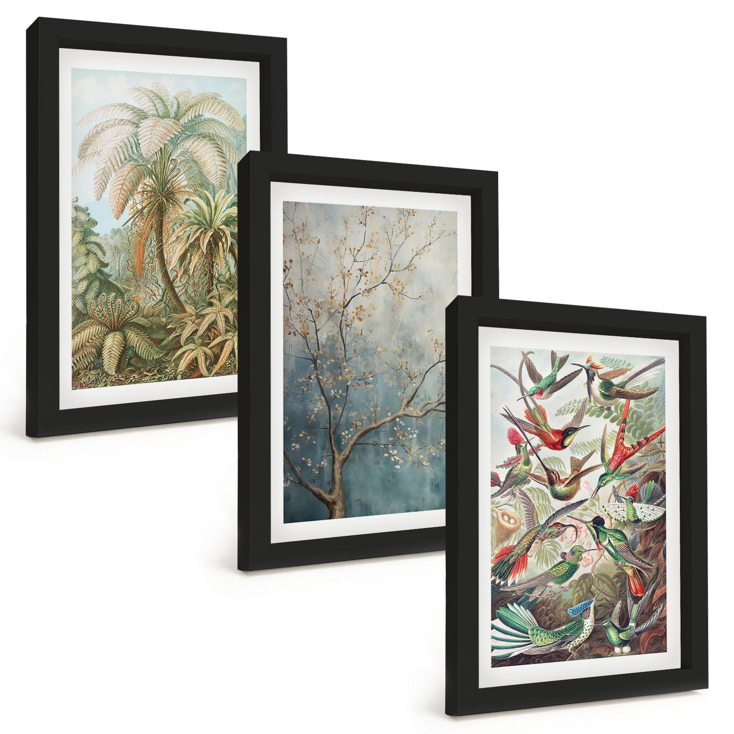 BILDER SET 3er Set - 20x30 cm Schwarzer Rahmen - Tropische Pflanzen, Vögel, Natur - Schwarz, Kunststoff (20/30cm) - TULUP