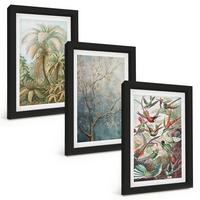 BILDER SET 3er Set - 20x30 cm Schwarzer Rahmen - Tropische Pflanzen, Vögel, Natur - Schwarz, Kunststoff (20/30cm) - TULUP