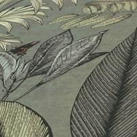 VLIESTAPETE Grün 53/1005 cm - Grün, Textil (53/1cm) - KUNSTLOFT