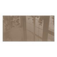 GLASPLATTE für Kamin 100x50 cm - Braun, Glas (100/50/0.4cm) - TULUP
