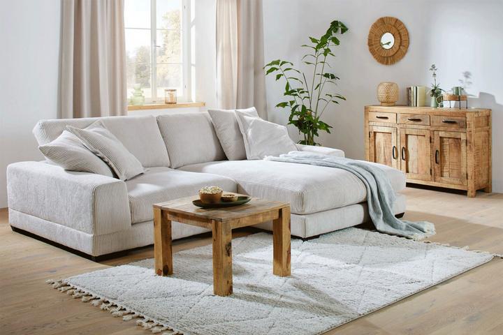 sofas-couches-richtig-reinigen.png