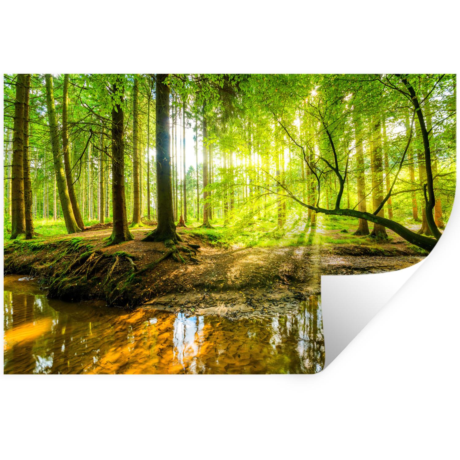 WANDTATTOO Wald - Landschaft - Wasser - Bäume - Sonne - Grün - Natur Wandsticker 120x80 cm - Grün, Kunststoff (120/80/0.1cm) - MuchoWow