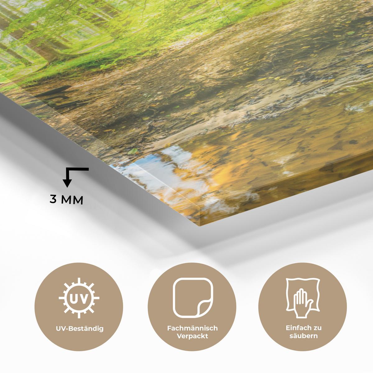 ACRYLGLASBILD Wald - Landschaft - Wasser - Bäume - Sonne - Grün - Natur Wanddeko Wohnzimmer 40x60 cm - Grün, Glas (40/60cm) - MuchoWow